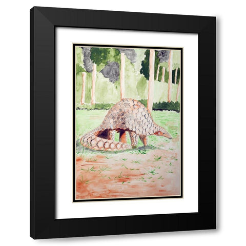 Sunda Pangolin Black Modern Wood Framed Art Print with Double Matting by Derr, Wynn