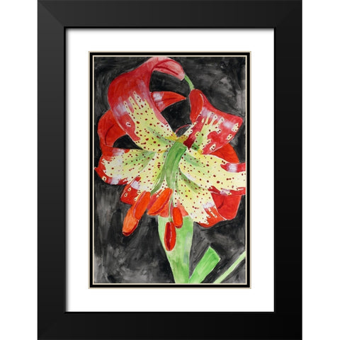 Western Lily Black Modern Wood Framed Art Print with Double Matting by Derr, Wynn