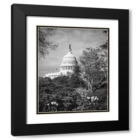 Capitol Hill-Washington D.C. Black Modern Wood Framed Art Print with Double Matting by Highsmith, Carol