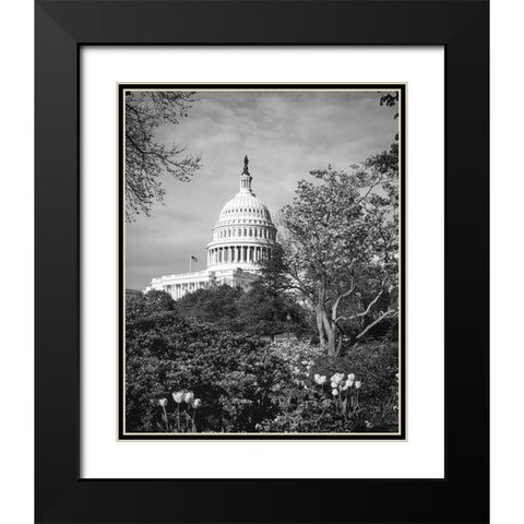 Capitol Hill-Washington D.C. Black Modern Wood Framed Art Print with Double Matting by Highsmith, Carol