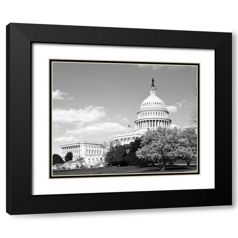 Capitol Hill Washington D.C. in cherry blossom season Black Modern Wood Framed Art Print with Double Matting by Highsmith, Carol