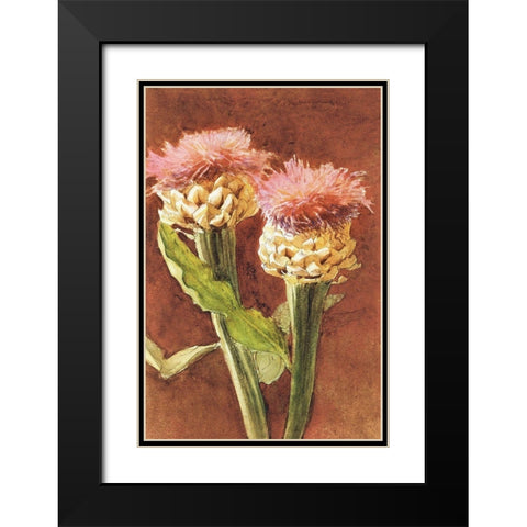 Thistle Black Modern Wood Framed Art Print with Double Matting by Sargent, John Singer