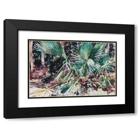 Palmettos Black Modern Wood Framed Art Print with Double Matting by Sargent, John Singer