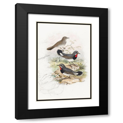 Calliope Tschebaiswi Black Modern Wood Framed Art Print with Double Matting by Gould, John