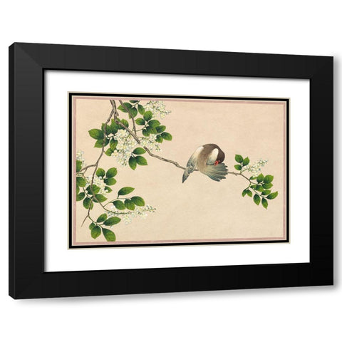 Preening Bird Black Modern Wood Framed Art Print with Double Matting by Ruoai, Zhang