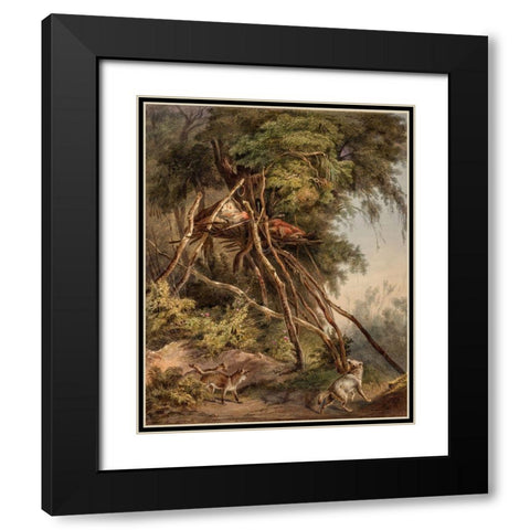 Tombs of Assiniboin indians on trees Black Modern Wood Framed Art Print with Double Matting by Bodmer, Karl
