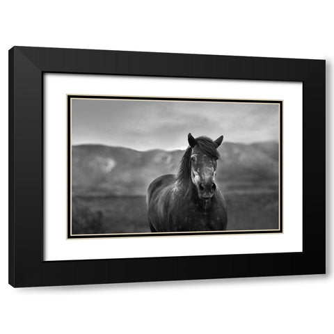 Gray Day Black Modern Wood Framed Art Print with Double Matting by The Yellowstone Collection