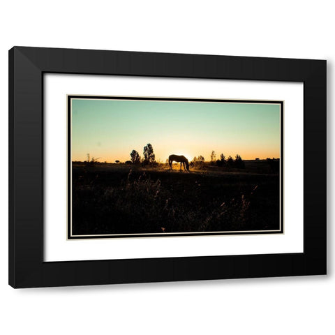 Grazing at Sunset Black Modern Wood Framed Art Print with Double Matting by The Yellowstone Collection