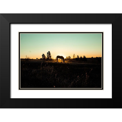 Grazing at Sunset Black Modern Wood Framed Art Print with Double Matting by The Yellowstone Collection
