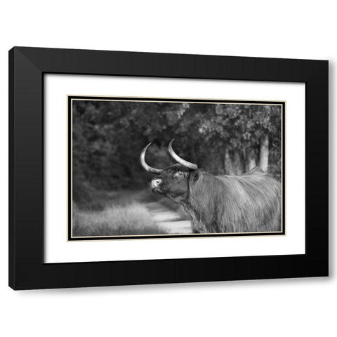 Heads Up Black Modern Wood Framed Art Print with Double Matting by The Yellowstone Collection