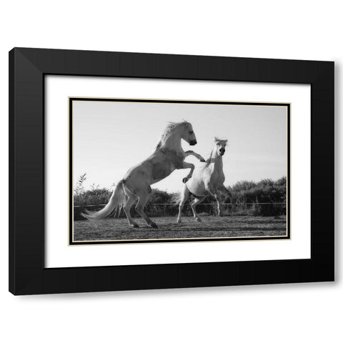 Horse Dance Black Modern Wood Framed Art Print with Double Matting by The Yellowstone Collection
