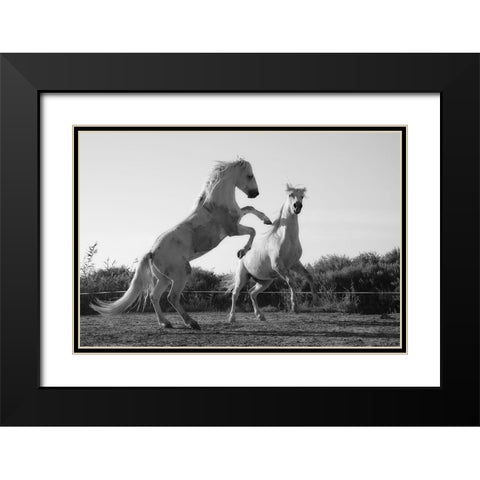 Horse Dance Black Modern Wood Framed Art Print with Double Matting by The Yellowstone Collection