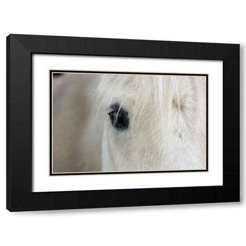 Horse Eye Black Modern Wood Framed Art Print with Double Matting by The Yellowstone Collection