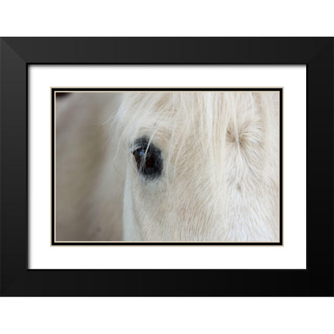 Horse Eye Black Modern Wood Framed Art Print with Double Matting by The Yellowstone Collection