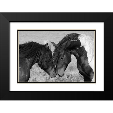 Horse Kiss Black Modern Wood Framed Art Print with Double Matting by The Yellowstone Collection