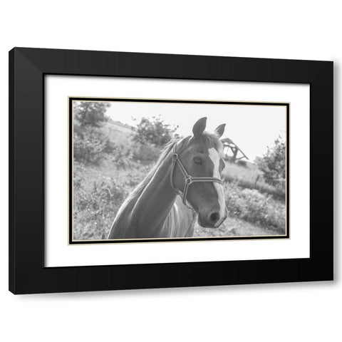 Howdy Black Modern Wood Framed Art Print with Double Matting by The Yellowstone Collection