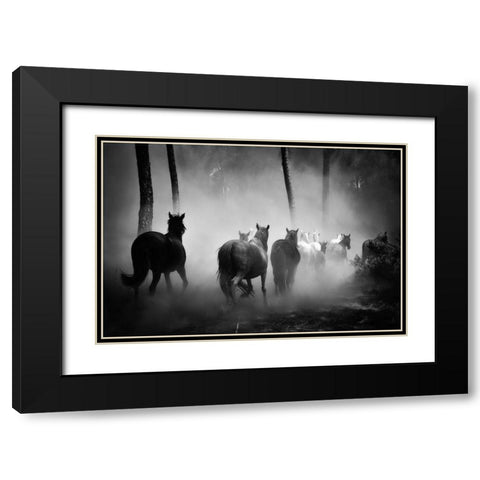 In to the Forest Black Modern Wood Framed Art Print with Double Matting by The Yellowstone Collection