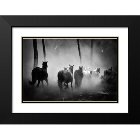 In to the Forest Black Modern Wood Framed Art Print with Double Matting by The Yellowstone Collection
