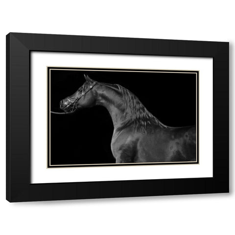 Majestic Black Modern Wood Framed Art Print with Double Matting by The Yellowstone Collection