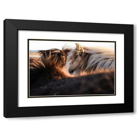 Nuzzle Black Modern Wood Framed Art Print with Double Matting by The Yellowstone Collection