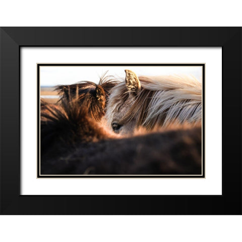 Nuzzle Black Modern Wood Framed Art Print with Double Matting by The Yellowstone Collection