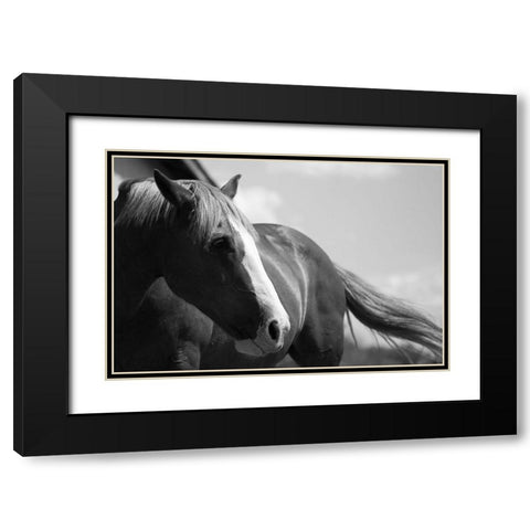 Ready to Ride Black Modern Wood Framed Art Print with Double Matting by The Yellowstone Collection