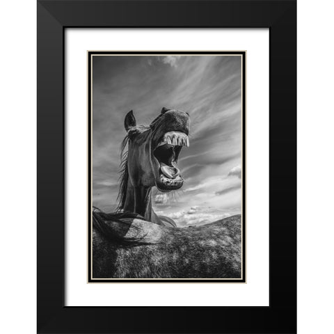 Rebel Yell Black Modern Wood Framed Art Print with Double Matting by The Yellowstone Collection