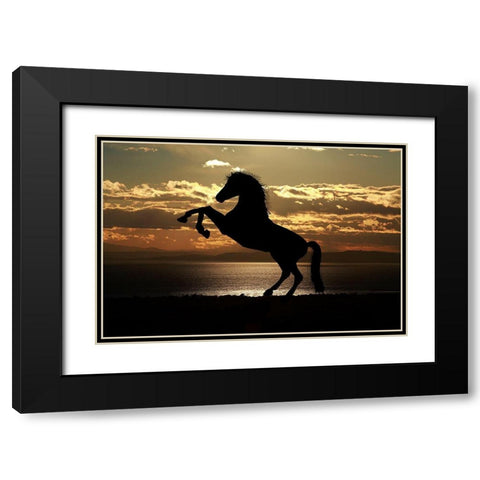 Shadow Dancer Black Modern Wood Framed Art Print with Double Matting by The Yellowstone Collection