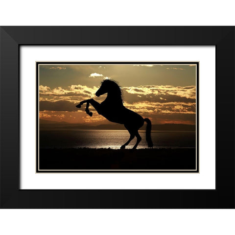 Shadow Dancer Black Modern Wood Framed Art Print with Double Matting by The Yellowstone Collection