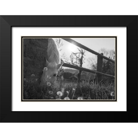 Spring Treat Black Modern Wood Framed Art Print with Double Matting by The Yellowstone Collection