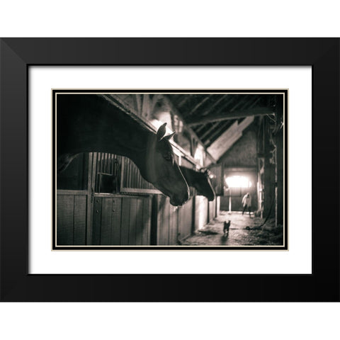 Stable Gossip Black Modern Wood Framed Art Print with Double Matting by The Yellowstone Collection