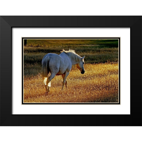 Summer Meadow II Black Modern Wood Framed Art Print with Double Matting by The Yellowstone Collection