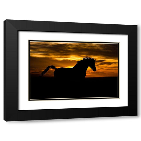 Sunset Shadow Black Modern Wood Framed Art Print with Double Matting by The Yellowstone Collection