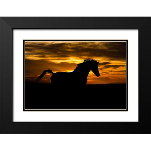 Sunset Shadow Black Modern Wood Framed Art Print with Double Matting by The Yellowstone Collection