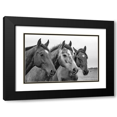 Three of a Kind Black Modern Wood Framed Art Print with Double Matting by The Yellowstone Collection