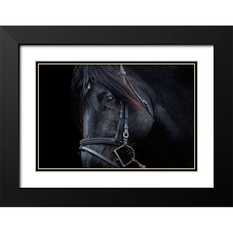Up Close Black Modern Wood Framed Art Print with Double Matting by The Yellowstone Collection