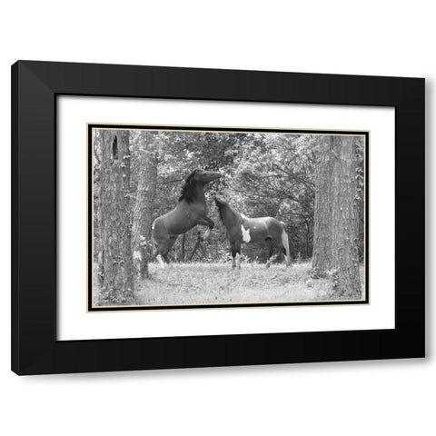 Wild Horses in the Forest Black Modern Wood Framed Art Print with Double Matting by The Yellowstone Collection