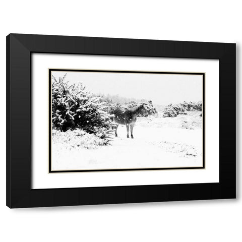 Winter Chestnut Black Modern Wood Framed Art Print with Double Matting by The Yellowstone Collection