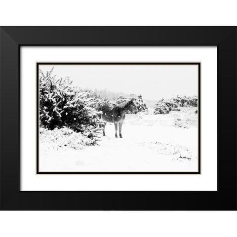 Winter Chestnut Black Modern Wood Framed Art Print with Double Matting by The Yellowstone Collection