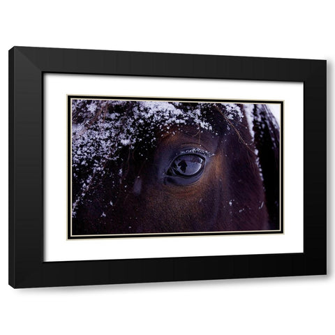 Winter Eye Black Modern Wood Framed Art Print with Double Matting by The Yellowstone Collection