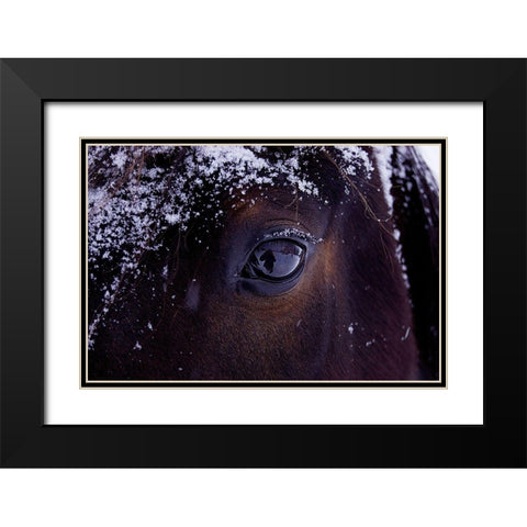 Winter Eye Black Modern Wood Framed Art Print with Double Matting by The Yellowstone Collection