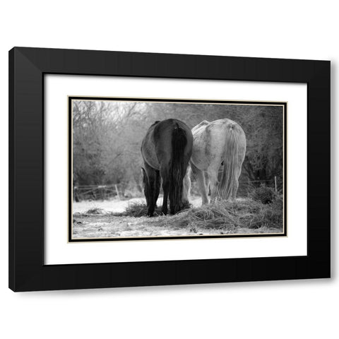 Winter Feed Black Modern Wood Framed Art Print with Double Matting by The Yellowstone Collection