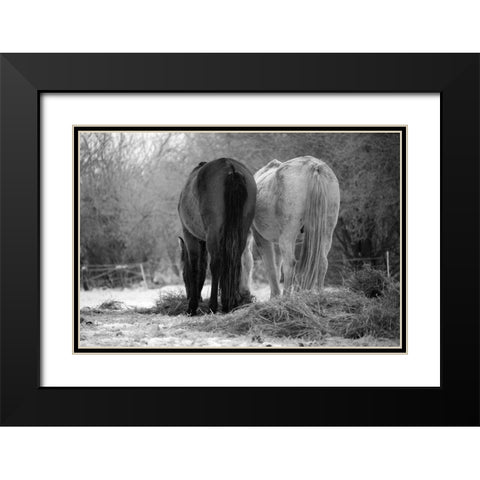 Winter Feed Black Modern Wood Framed Art Print with Double Matting by The Yellowstone Collection