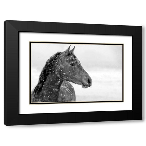 Winter Snow Black Modern Wood Framed Art Print with Double Matting by The Yellowstone Collection