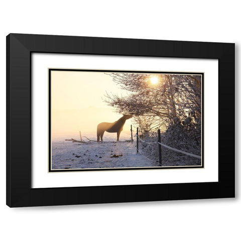 Winter Treat Black Modern Wood Framed Art Print with Double Matting by The Yellowstone Collection