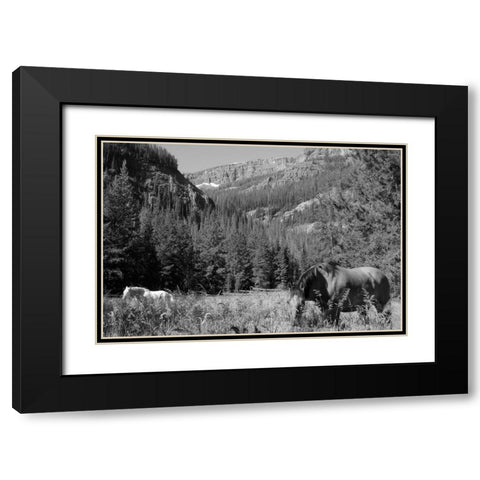 Younts Peak, Cody, Wyoming Black Modern Wood Framed Art Print with Double Matting by The Yellowstone Collection