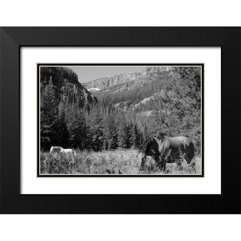 Younts Peak, Cody, Wyoming Black Modern Wood Framed Art Print with Double Matting by The Yellowstone Collection