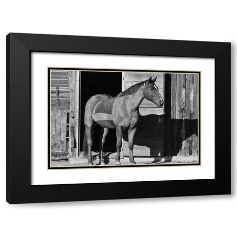 Afternoon Shadow Black Modern Wood Framed Art Print with Double Matting by The Yellowstone Collection