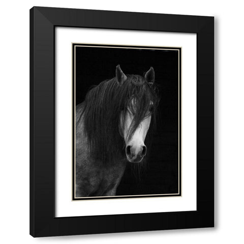 Andalusian Black Modern Wood Framed Art Print with Double Matting by The Yellowstone Collection