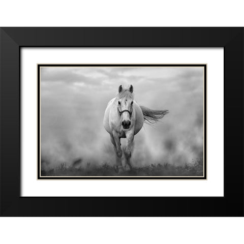 Approaching White Black Modern Wood Framed Art Print with Double Matting by The Yellowstone Collection